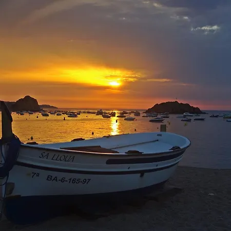 Lets Holidays Near Tossa *